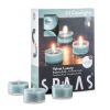 Scented Tea Lights Candles in Clear Cups, Raspberry & Lily Fragrance, for Spa, Dinner, and Home Decor, 24 Pack