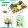 AIXIANG 12Pcs Cactus Candles Succulent Candles, Wedding Party Favors for Guests, Bridal Shower Candles Favors