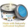 Magnificent 101 Purify 6oz Natural Soy Aromatherapy Clarity Intention Candle with Sage, Palo Santo, and Sandalwood