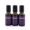 BEAUTY EXPERT - Massage Essential Oil 581011 3x18ml/0.6oz